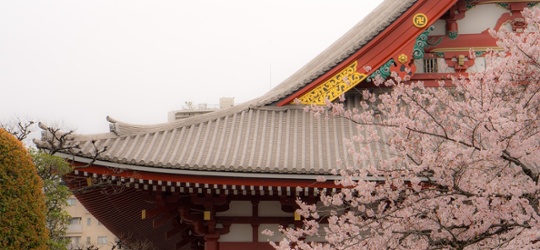 Japan: A timely opportunity to seize long-term potential