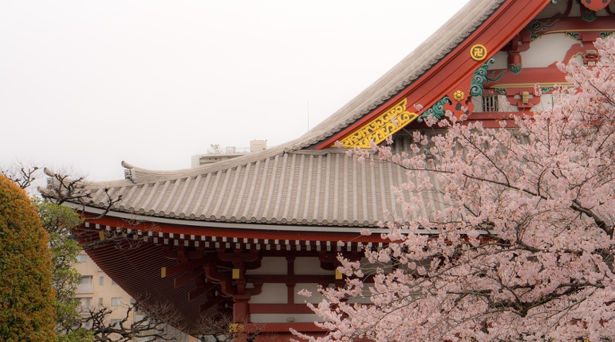 Japan: A timely opportunity to seize long-term potential