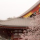 Japan: A timely opportunity to seize long-term potential