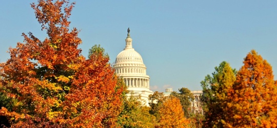 What's next for US small-caps following the election and rate cut?