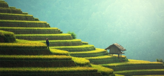A full spectrum of Sustainability Focus labelled funds