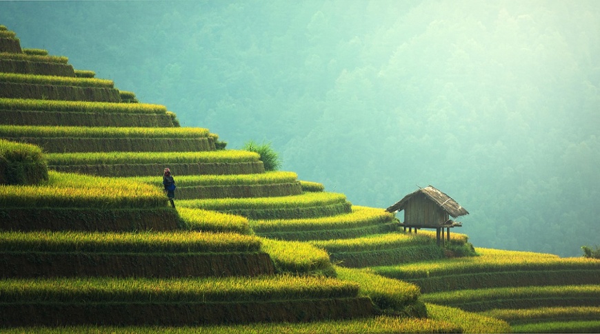 A full spectrum of Sustainability Focus labelled funds