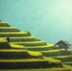 A full spectrum of Sustainability Focus labelled funds