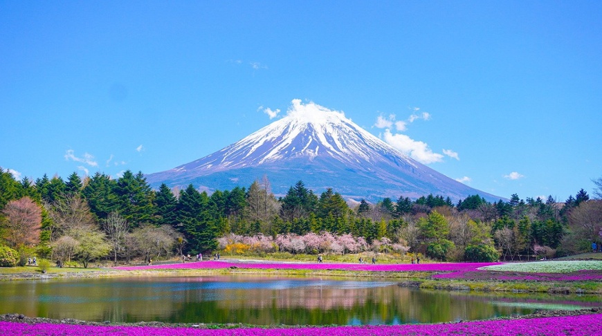 Springtime for Japanese stocks