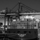 US election and trade policy: What investors need to know