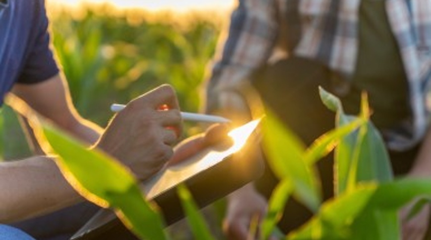 ESG perspective: What is natural capital and why do we care?