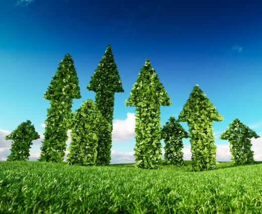 Investment Perspectives: What does SDR mean for advice businesses?