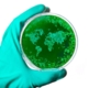 Markets fear a global coronavirus pandemic