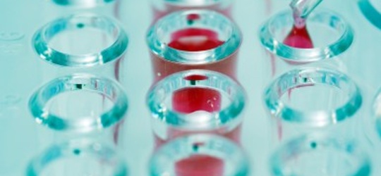 I&I therapies hit new milestones for patients and investors