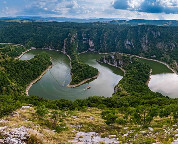 Yields poised to increase as global competition for capital endures