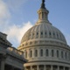 US exceptionalism could continue but diversification still key