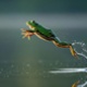 Could the U.S. be the frog in the pot?