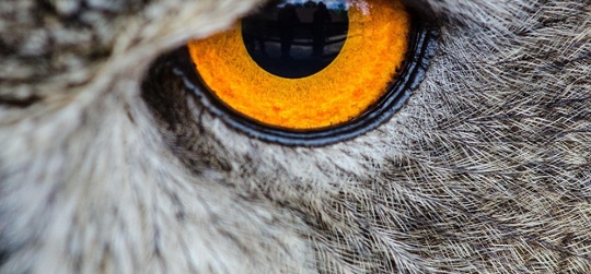 Investing with Eyes Wide Open – mid-year outlook