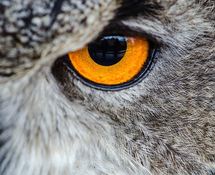 Investing with Eyes Wide Open – mid-year outlook