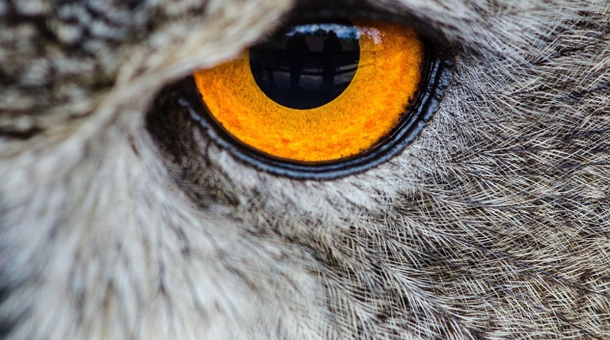 Investing with Eyes Wide Open – mid-year outlook