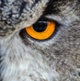 Investing with Eyes Wide Open – mid-year outlook