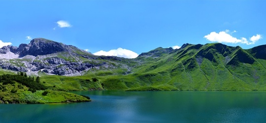 Responsible investing unpacked: The climate-nature nexus
