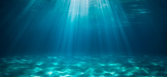 ESG: Progress and clarity signal investment opportunities in 2024