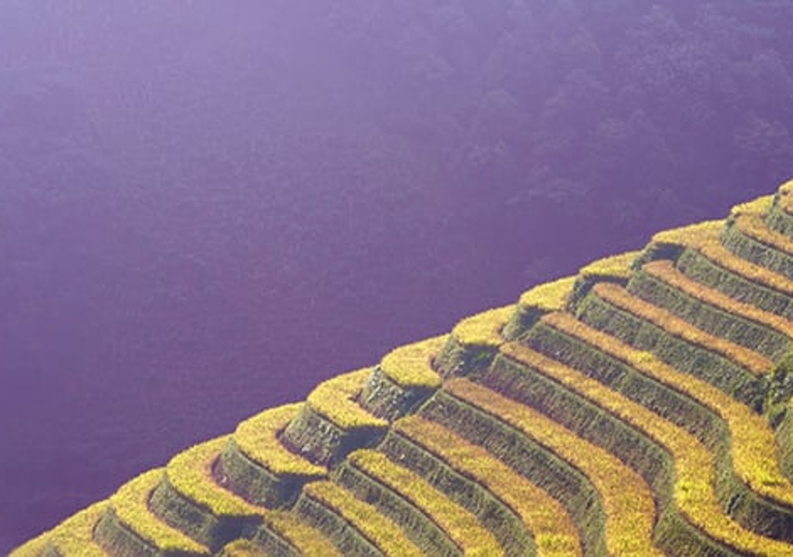 Sustainable Investing quarterly update - Q1 2026