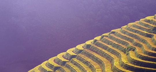 Sustainable Investing quarterly update - Q1 2026