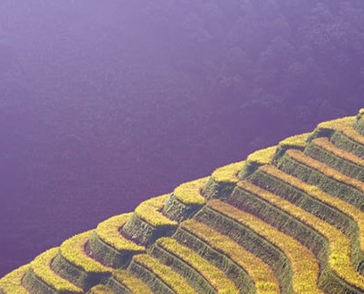 Sustainable Investing quarterly update - Q1 2026