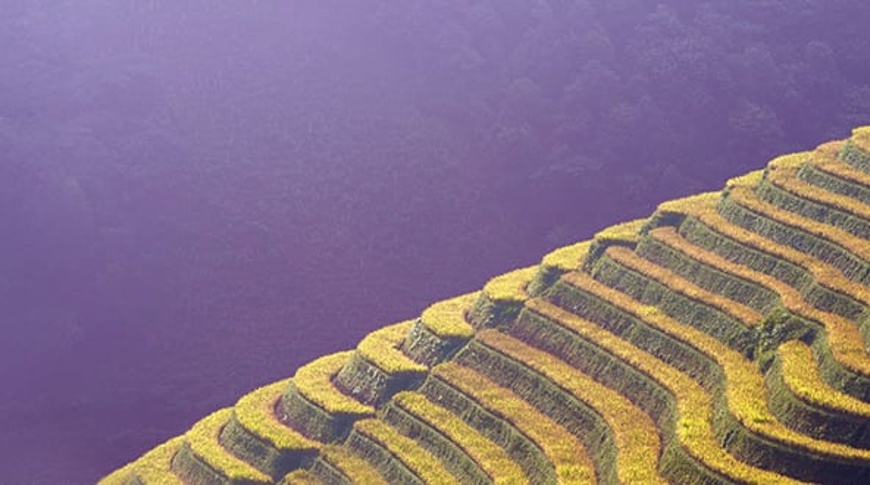 Sustainable Investing quarterly update - Q1 2026