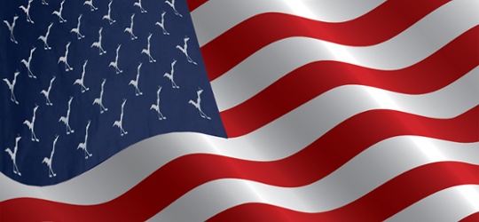 Why changing dynamics in the US call for a 130/30 approach