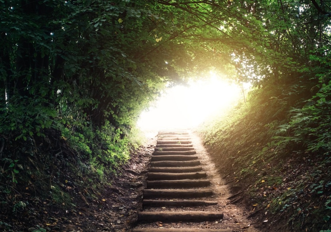 Absolute return: Building resilience in volatile markets