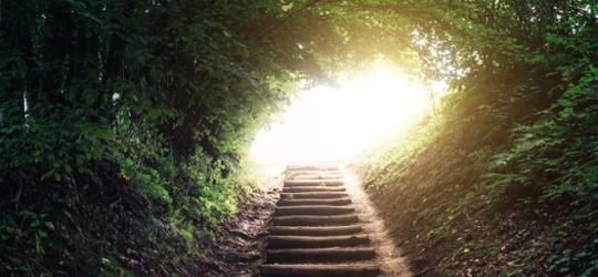 Absolute return: Building resilience in volatile markets