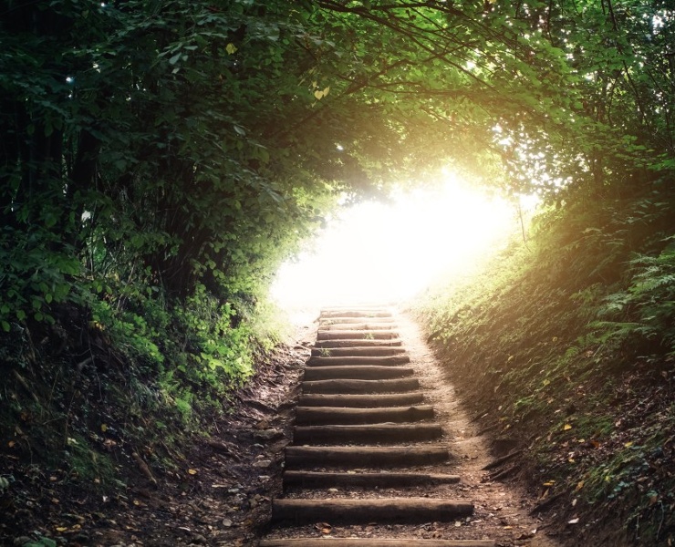 Absolute return: Building resilience in volatile markets