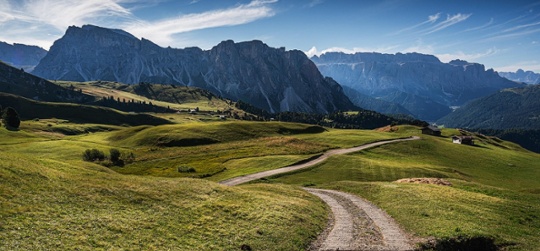 Fixed income outlook: A not-so-random walk