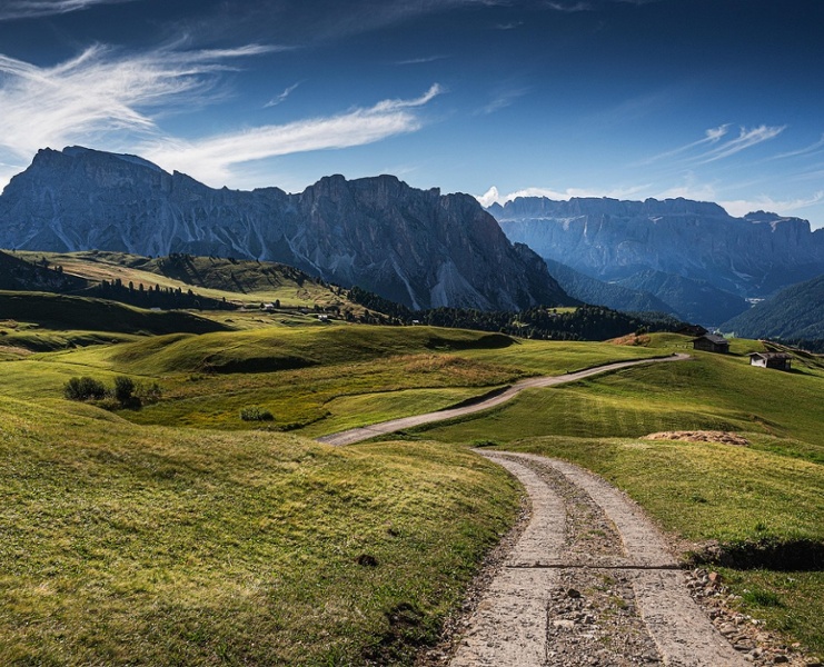 Fixed income outlook: A not-so-random walk