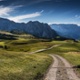 Fixed income outlook: A not-so-random walk