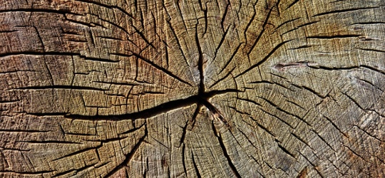 Outlook 2026: A diversified and flexible approach to core equities markets