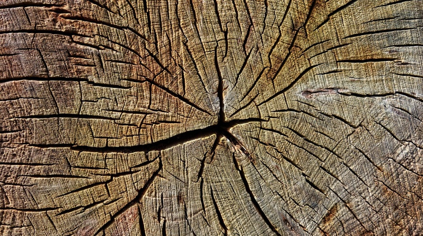 Outlook 2026: A diversified and flexible approach to core equities markets